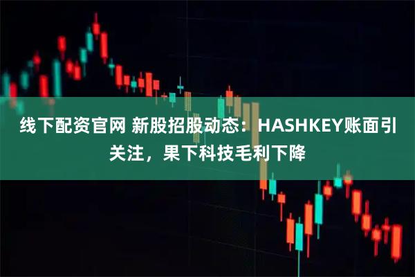 线下配资官网 新股招股动态:HASHKEY账面引关注,果下科技毛利下降
